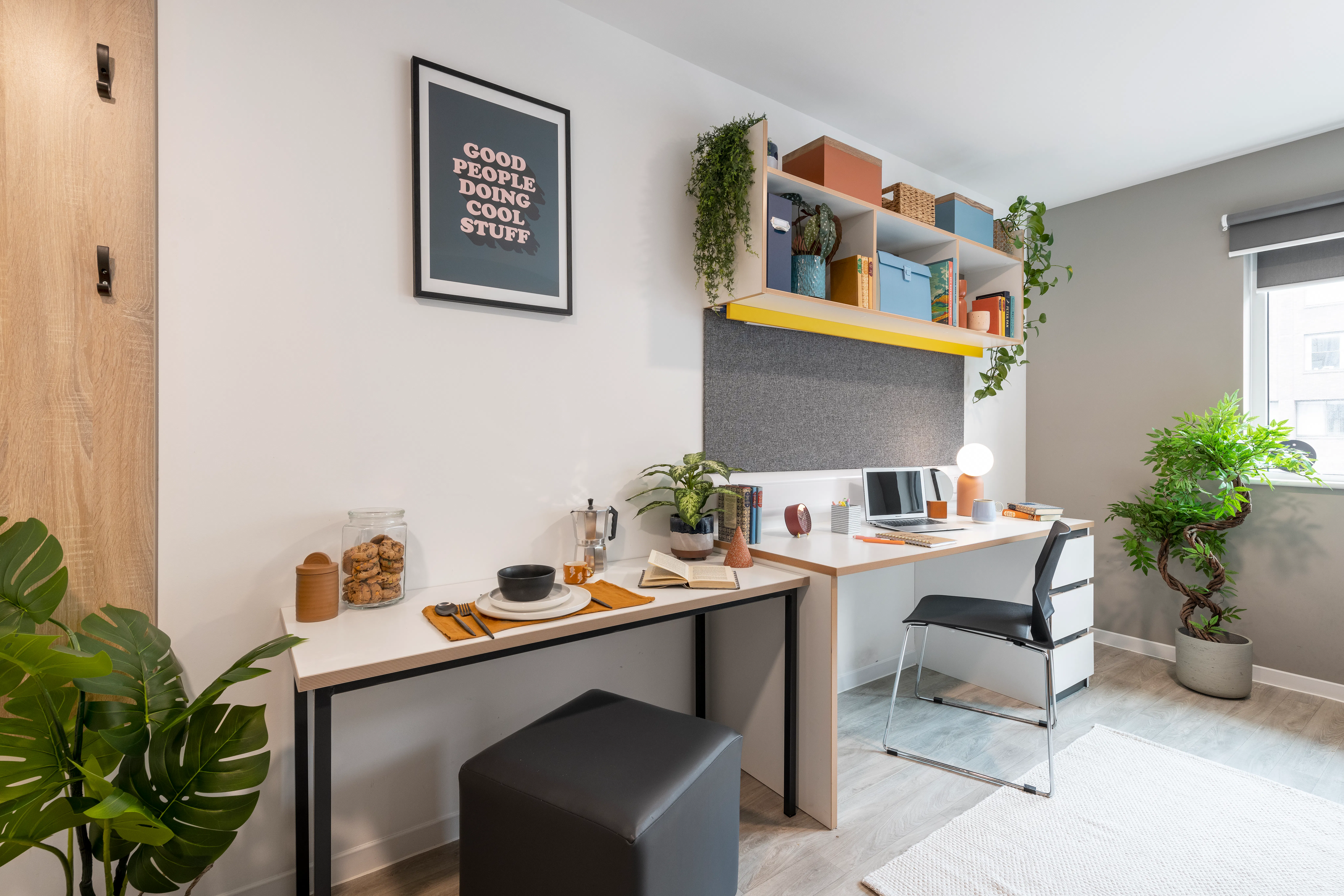 Premium Studio