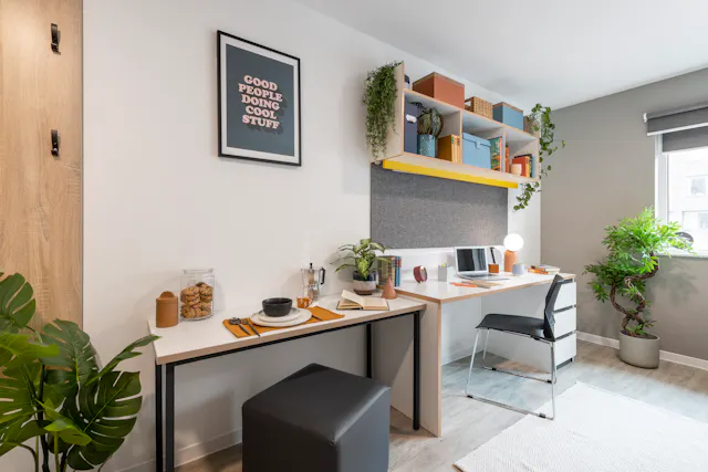 Premium Studio room image 2