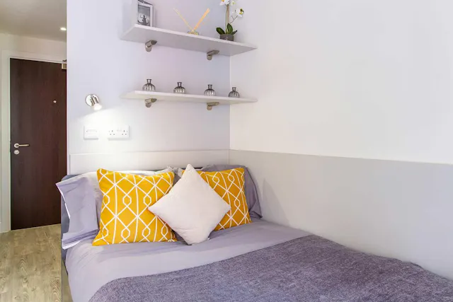 Premium Studio room image 2
