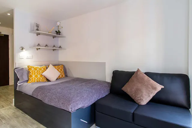 Premium Studio room image 1