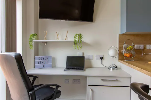 Premium Studio room image 4