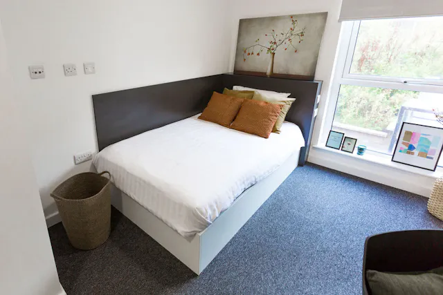 Premium Studio Accessible room image 1