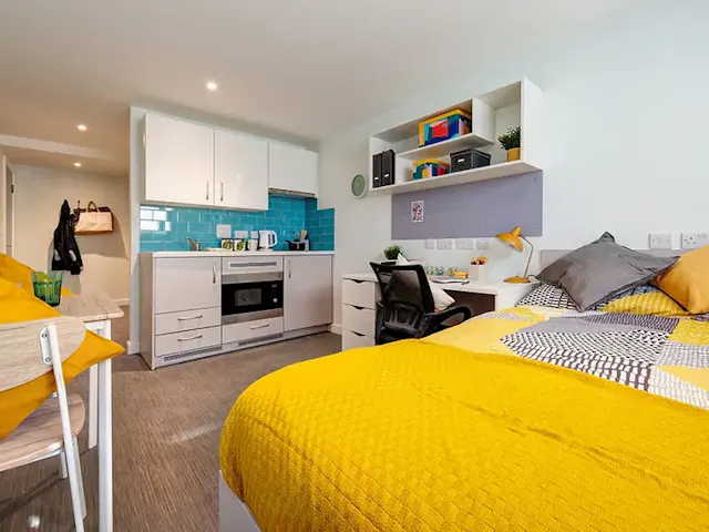 Premium Studio room image 1