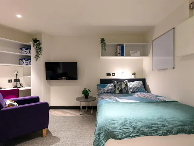 Deluxe Studio room image 1