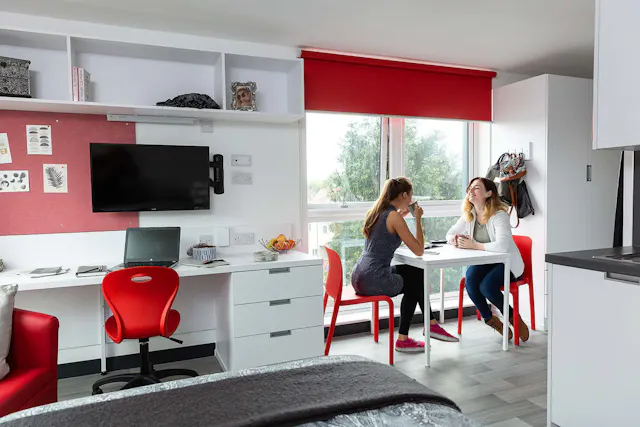 Premium Studio room image 1