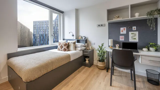 Premium Studio Plus room image 2