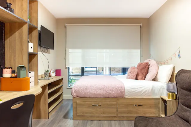 Premium Studio Plus room image 2