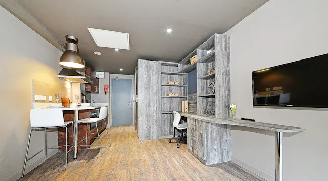 Premium Plus Studio room image 2