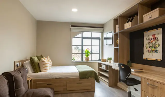 Premium Studio Plus room image 1