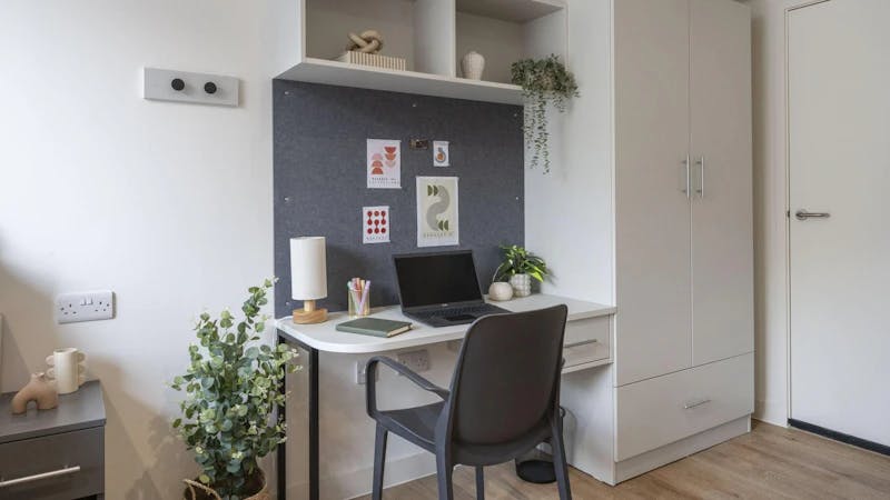 Premium Corner Studio