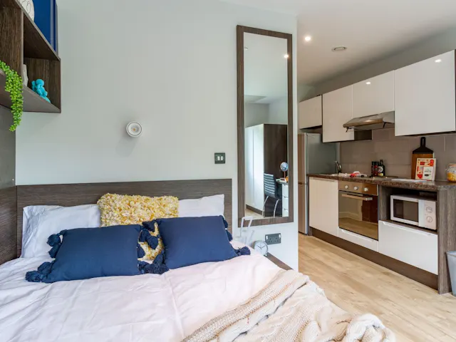 Premium Studio room image 1