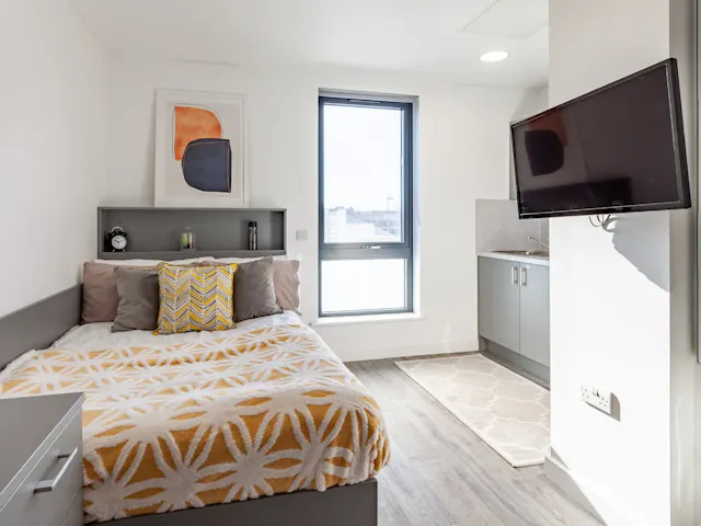 Deluxe Studio room image 2