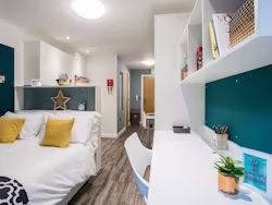 botanic-studios-belfast-Premium Studio