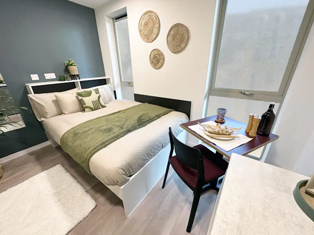 Premium Studio room image 1