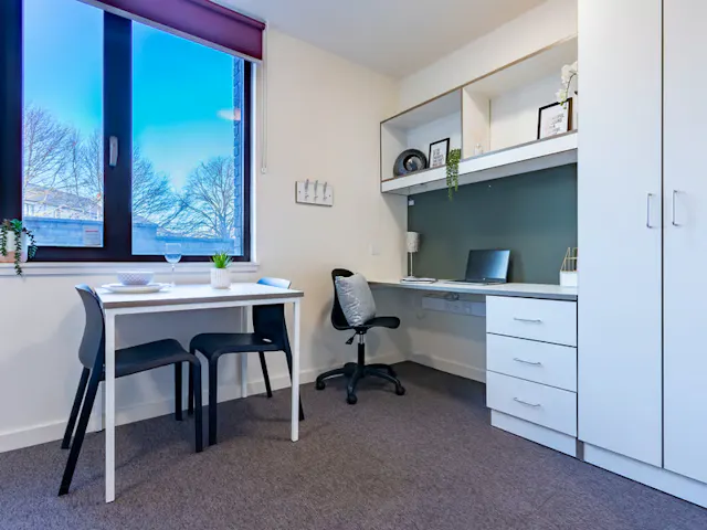 Premium Studio room image 4