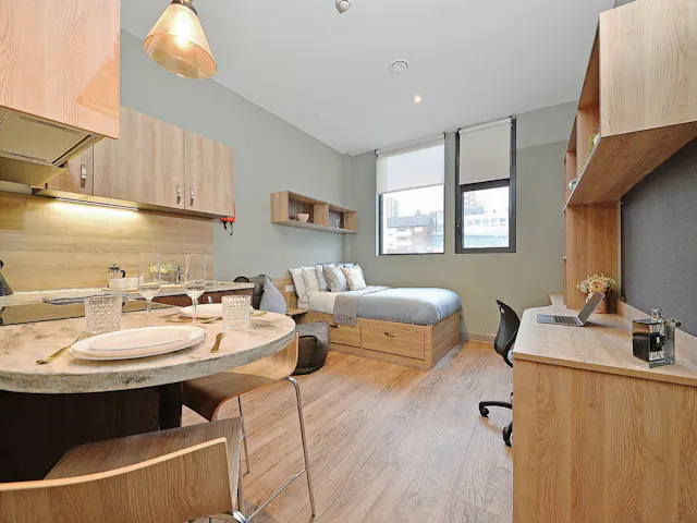 Premium Studio room image 2