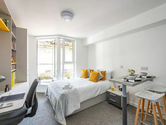 Premium Studio room image 2