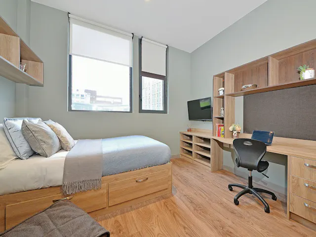 Premium Studio room image 3
