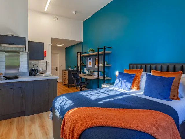 Premium Studio room image 3