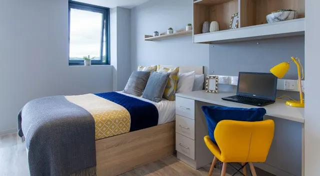 Premium Studio room image 1