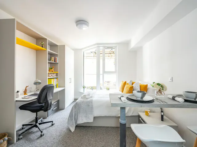 Premium Studio room image 1
