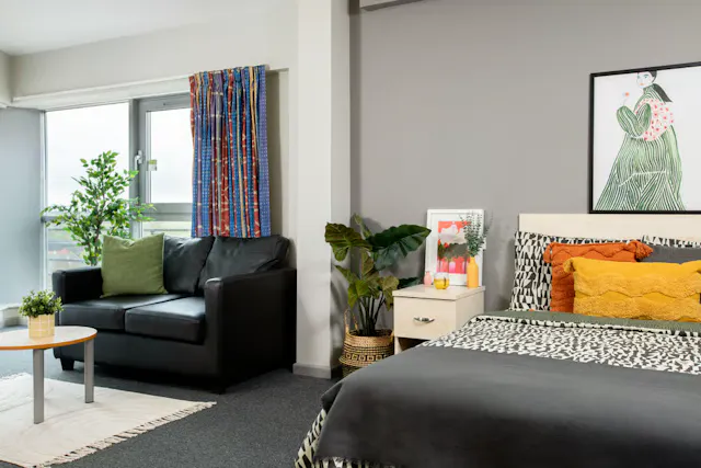 Premium Studio room image 1