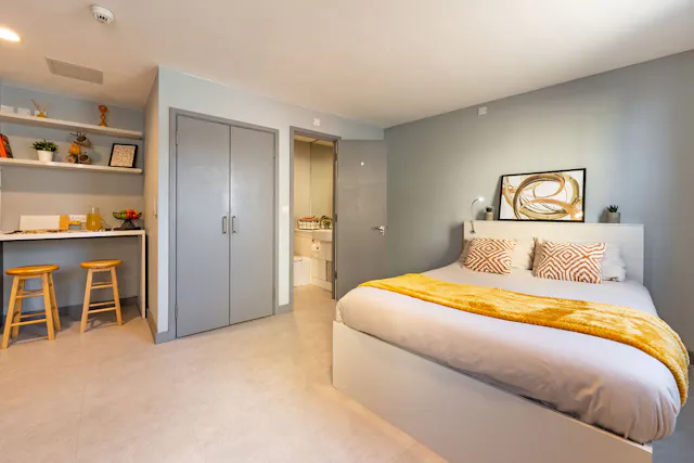 Deluxe Studio room image 1