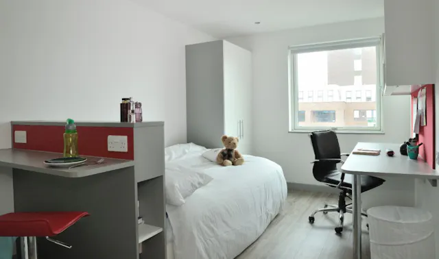 Deluxe Studio room image 2