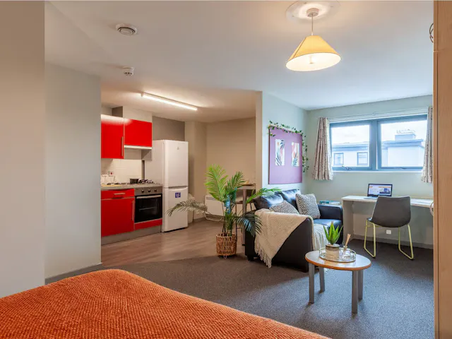Premium Studio room image 2