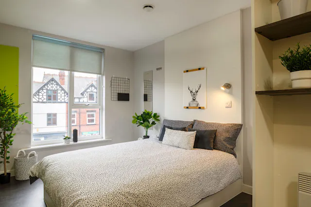 Deluxe Studio room image 1