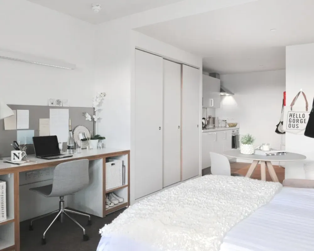 Deluxe Studio ROOM 1