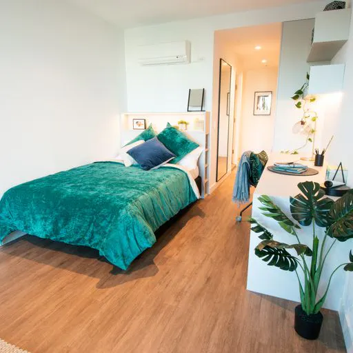 Deluxe Studio room image 1