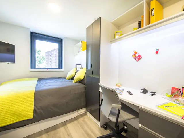 Premium Studio room image 2