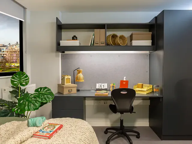 Premium Studio room image 2
