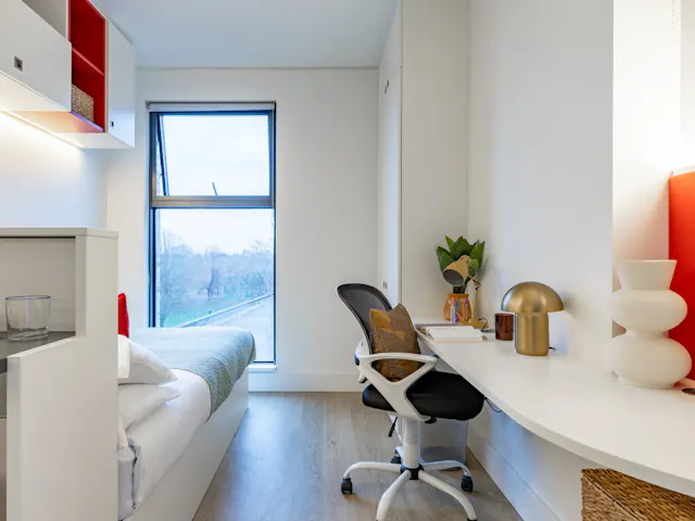 Premium Studio room image 2