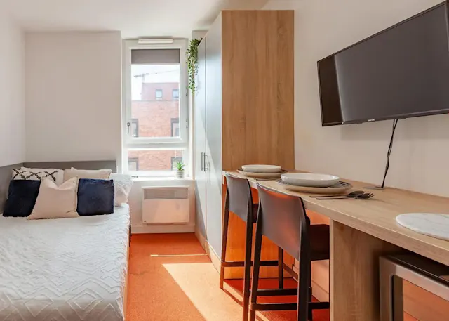 Premium Studio room image 2
