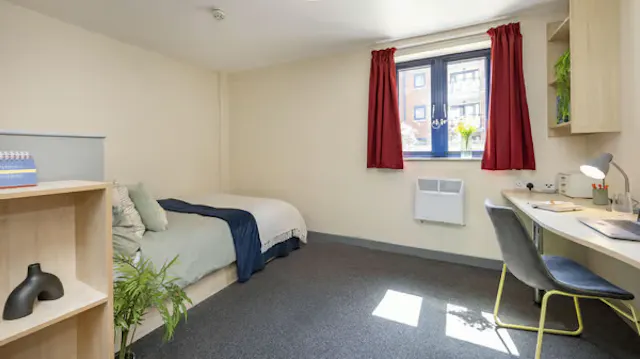 Premium Studio room image 2