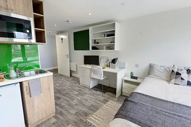 Deluxe Studio room image 2