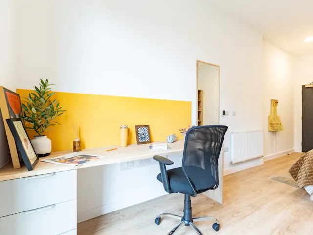 Premium Studio room image 2