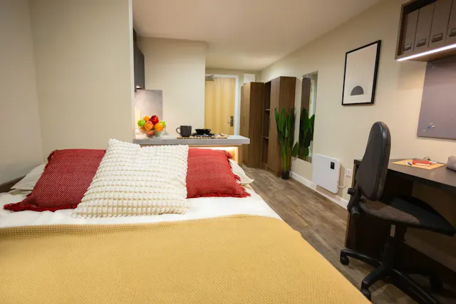 Deluxe Studio room image 1