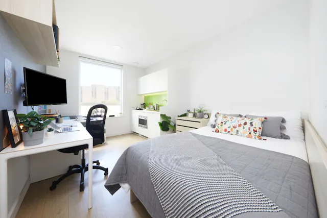 Premium Studio room image 1