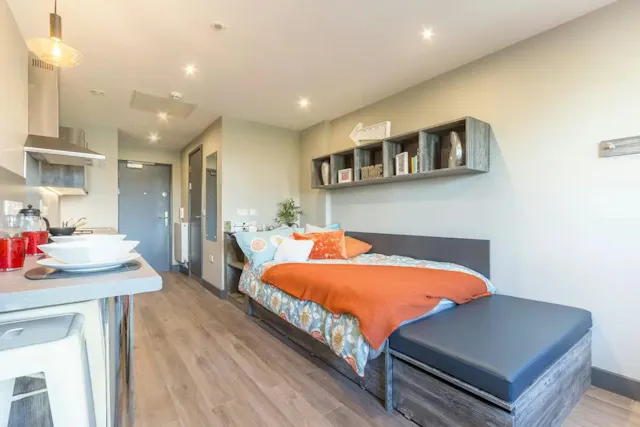Premium Studio room image 1