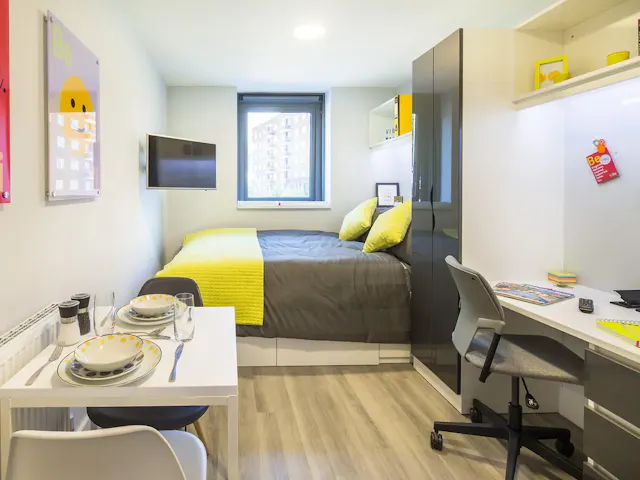 Premium Studio room image 1