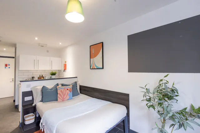 Deluxe Studio room image 1