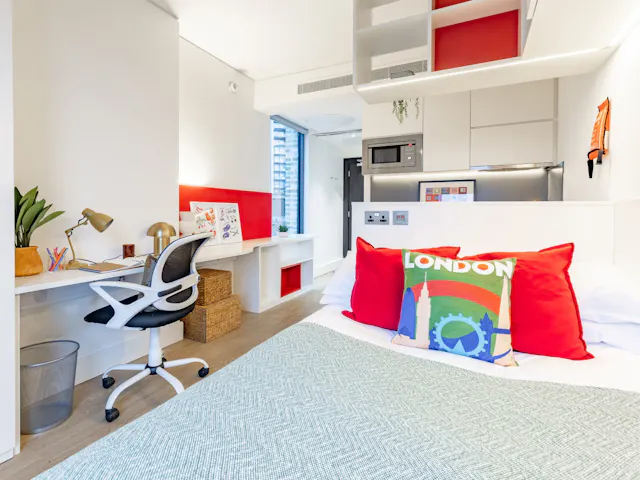 Premium Studio room image 1