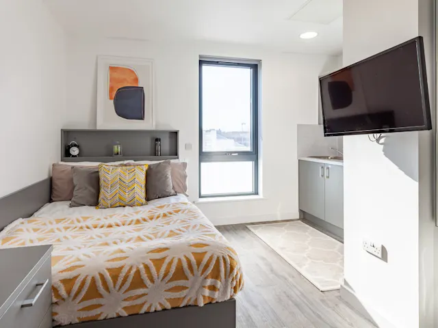 Deluxe Studio room image 1