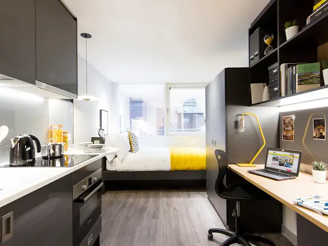 Deluxe Studio room image 1