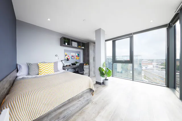 Premium Studio room image 1