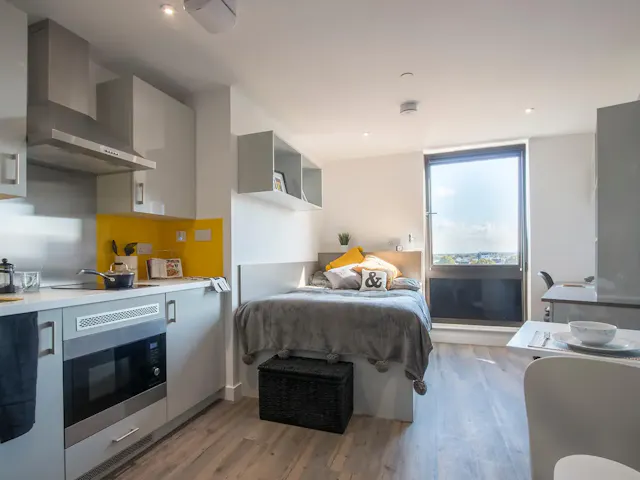 Premium Studio room image 2