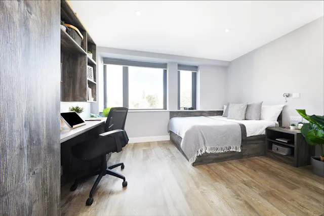 Deluxe Studio room image 1